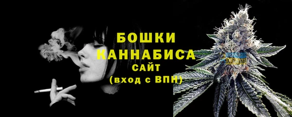 гидра Пестово