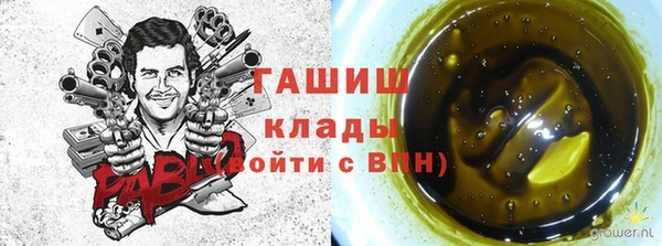 гидра Пестово