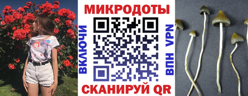 Псилоцибиновые грибы MAGIC MUSHROOMS  где найти   МЕГА рабочий сайт  Приозерск 